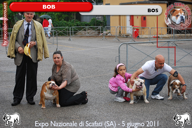 Expo Nazionale di Scafati  - BOB  e BOS